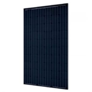 Trina Solar Panel